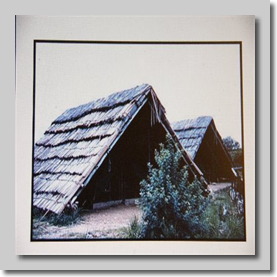Sleeping quarters at Murchison Falls Game Park (Paraa Lodge) -- elephant droppings would be found right outside each morning